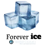 foreverice hoshizaki